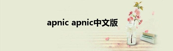 apnic apnic中文版