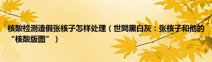 核酸检测造假张核子怎样处理（世間黑白灰：张核子和他的“核酸版图”）