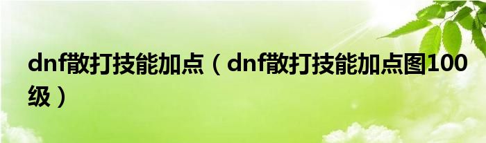 dnf散打技能加点（dnf散打技能加点图100级）