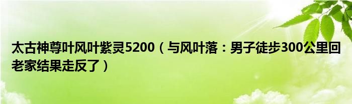 太古神尊叶风叶紫灵5200（与风叶落：男子徒步300公里回老家结果走反了）