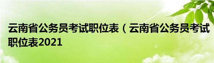 云南省公务员考试职位表（云南省公务员考试职位表2021