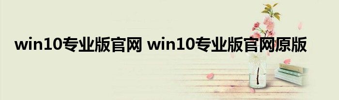 win10专业版官网 win10专业版官网原版