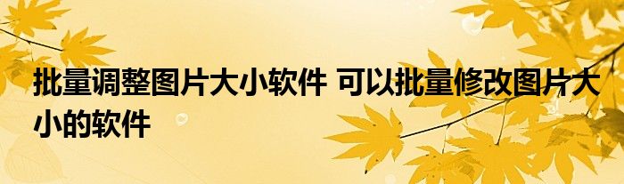 批量调整图片大小软件 可以批量修改图片大小的软件