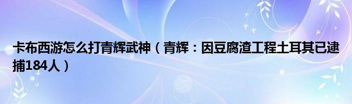 卡布西游怎么打青辉武神（青辉：因豆腐渣工程土耳其已逮捕184人）