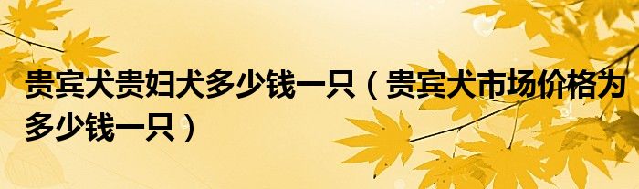 贵宾犬贵妇犬多少钱一只（贵宾犬市场价格为多少钱一只）