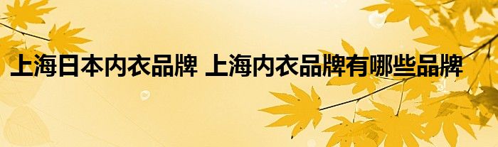 上海日本内衣品牌 上海内衣品牌有哪些品牌