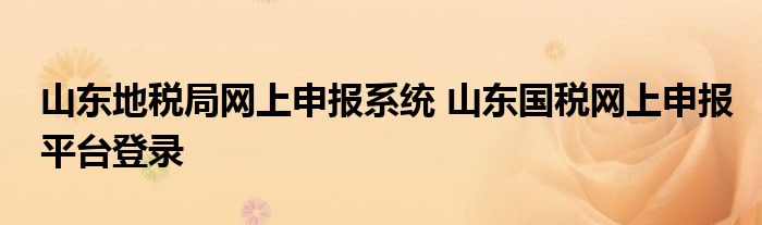 山东地税局网上申报系统 山东国税网上申报平台登录