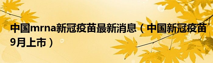 中国mrna新冠疫苗最新消息（中国新冠疫苗9月上市）