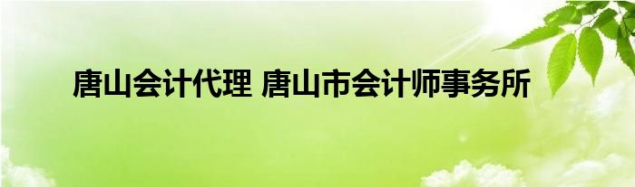 唐山会计代理 唐山市会计师事务所