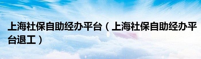 上海社保自助经办平台（上海社保自助经办平台退工）