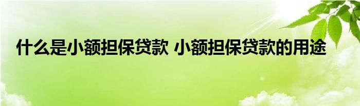 什么是小额担保贷款 小额担保贷款的用途