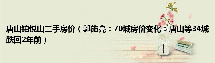 唐山铂悦山二手房价（郭施亮：70城房价变化：唐山等34城跌回2年前）