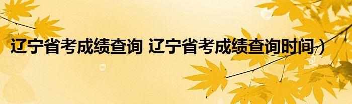 辽宁省考成绩查询 辽宁省考成绩查询时间）