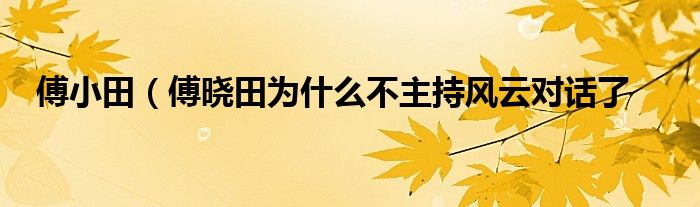 傅小田（傅晓田为什么不主持风云对话了