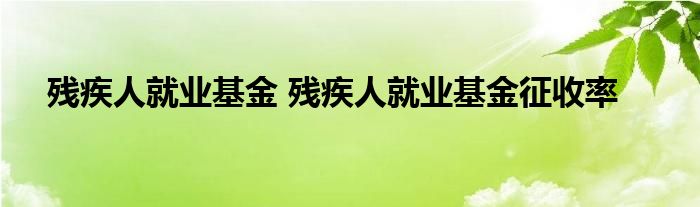 残疾人就业基金 残疾人就业基金征收率