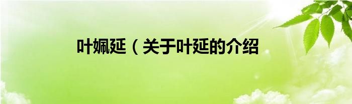 叶姵延（关于叶延的介绍