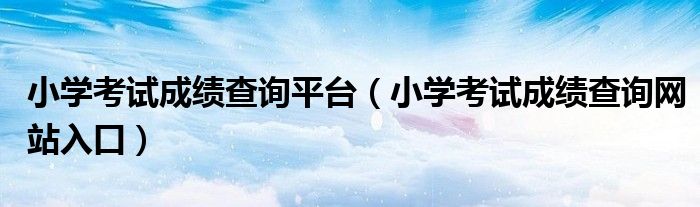 小学考试成绩查询平台（小学考试成绩查询网站入口）