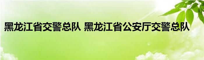 黑龙江省交警总队 黑龙江省公安厅交警总队