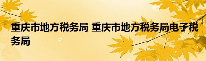 重庆市地方税务局 重庆市地方税务局电子税务局