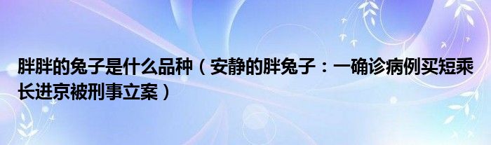 胖胖的兔子是什么品种（安静的胖兔子：一确诊病例买短乘长进京被刑事立案）