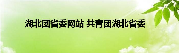 湖北团省委网站 共青团湖北省委