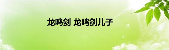 龙鸣剑 龙鸣剑儿子