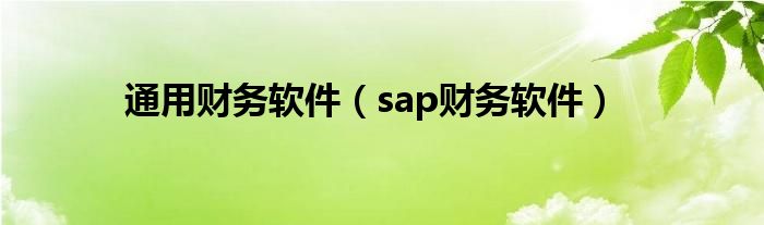 通用财务软件（sap财务软件）