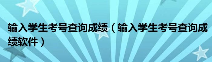 输入学生考号查询成绩（输入学生考号查询成绩软件）