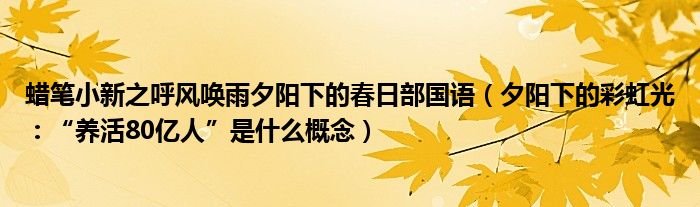 蜡笔小新之呼风唤雨夕阳下的春日部国语（夕阳下的彩虹光：“养活80亿人”是什么概念）