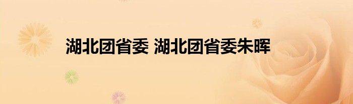 湖北团省委 湖北团省委朱晖