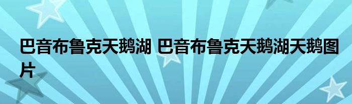 巴音布鲁克天鹅湖 巴音布鲁克天鹅湖天鹅图片