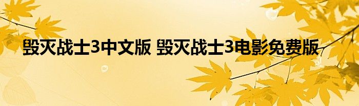 毁灭战士3中文版 毁灭战士3电影免费版