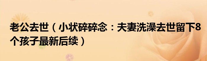 老公去世（小状碎碎念：夫妻洗澡去世留下8个孩子最新后续）