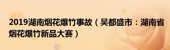 2019湖南烟花爆竹事故（吴都盛市：湖南省烟花爆竹新品大赛）