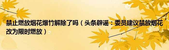 禁止燃放烟花爆竹解除了吗（头条辟谣：委员建议禁放烟花改为限时燃放）