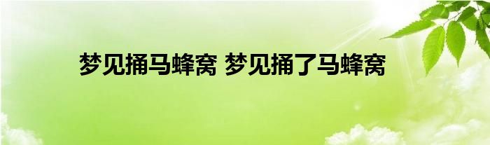 梦见捅马蜂窝 梦见捅了马蜂窝