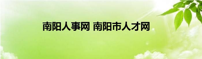 南阳人事网 南阳市人才网