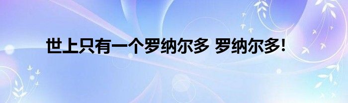 世上只有一个罗纳尔多 罗纳尔多!