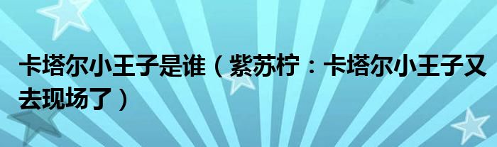 卡塔尔小王子是谁（紫苏柠：卡塔尔小王子又去现场了）