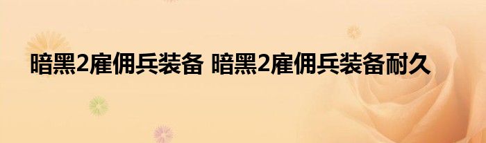 暗黑2雇佣兵装备 暗黑2雇佣兵装备耐久