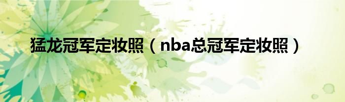 猛龙冠军定妆照（nba总冠军定妆照）