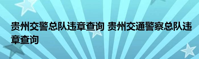 贵州交警总队违章查询 贵州交通警察总队违章查询