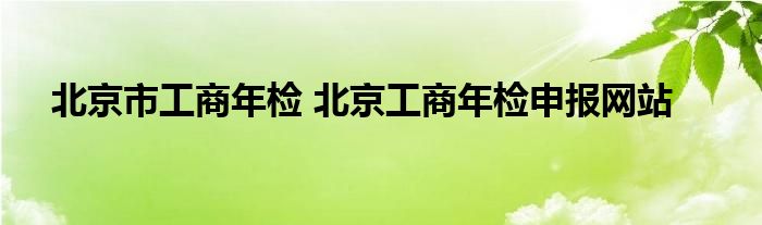 北京市工商年检 北京工商年检申报网站