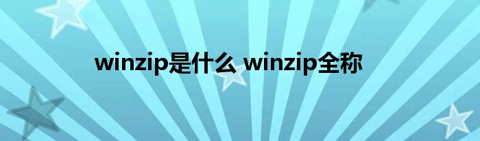 winzip是什么 winzip全称