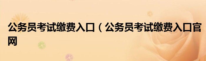 公务员考试缴费入口（公务员考试缴费入口官网