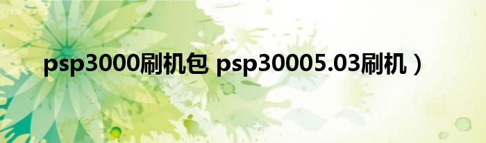 psp3000刷机包 psp30005.03刷机）