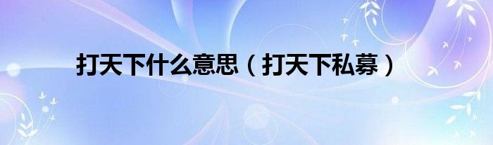 打天下什么意思（打天下私募）