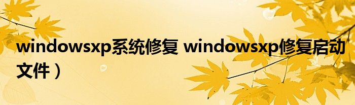 windowsxp系统修复 windowsxp修复启动文件）