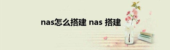 nas怎么搭建 nas 搭建