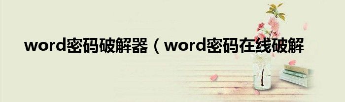 word密码破解器（word密码在线破解